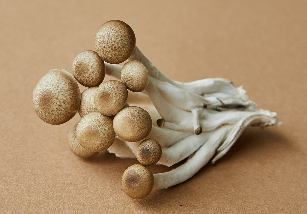 Sourcing Excellence: The Journey of Ingredients for Our High-Quality Supplements
